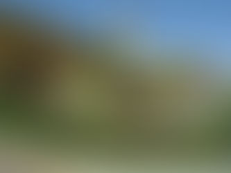 La historia de los legendarios relojes de Zacatlán: la tradición de Relojes Centenario