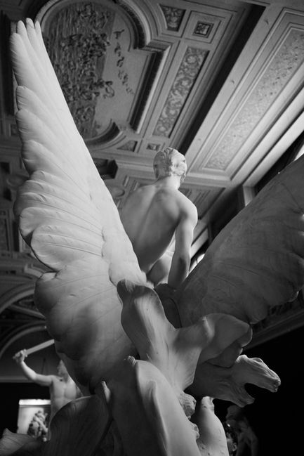 Wings