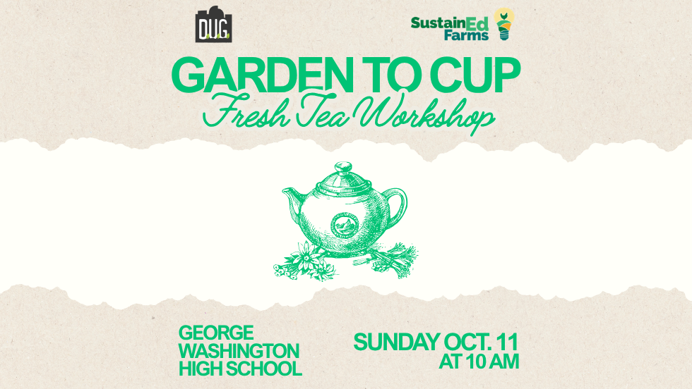 Garden to Cup: Fresh Tea Workshop