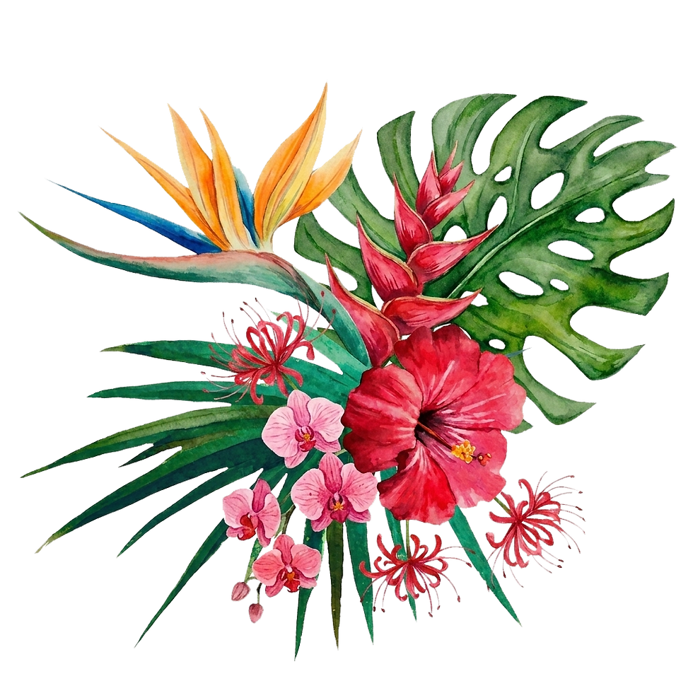 tropical boquet of plants and flowers for tropical branding of website