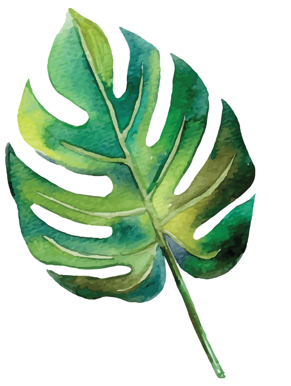 tropical leaf isolated illustration watercolour massage therapist tropical style