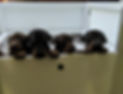 PXL_20211022_225025102.jpg