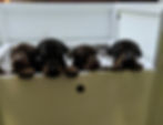 PXL_20211022_225025102.jpg