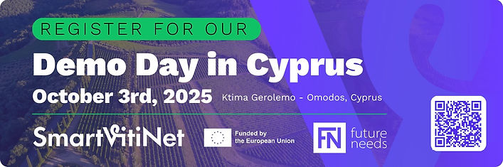 WhatsApp Image 2025-08-14 at 11.04.38.jpeg