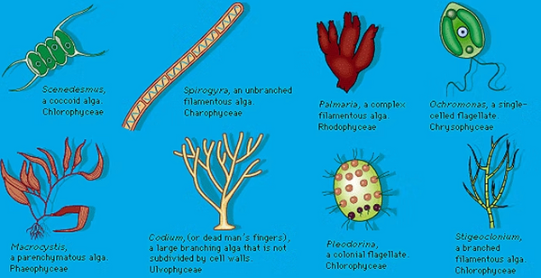 Screenshot 2025-11-18 at 2.51.25 PM.png