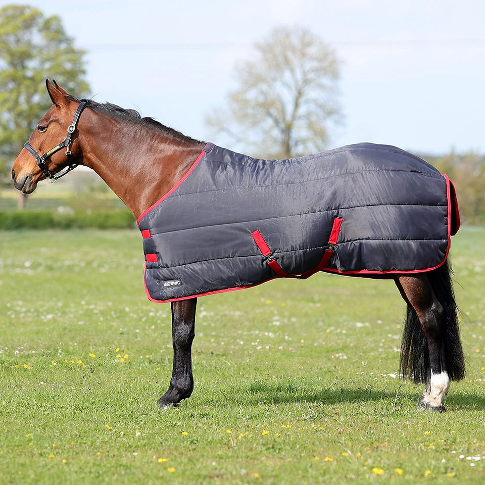 Miniaturbild: HyCONIC 100g Stable Rug