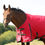 Thumbnail: HyCONIC 100g Turnout Rug