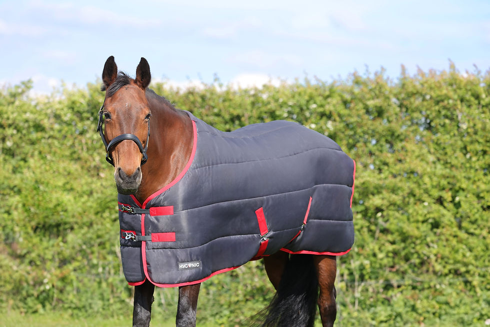 Miniatura: HyCONIC 250g Stable Rug