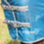 Thumbnail: StormX Empra 50 Turnout Rug