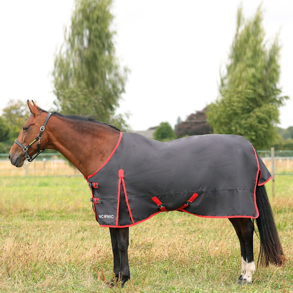 HyCONIC 0g Lightweight Waterproof Breathable Horse Turnout Rug Charcoal/Red