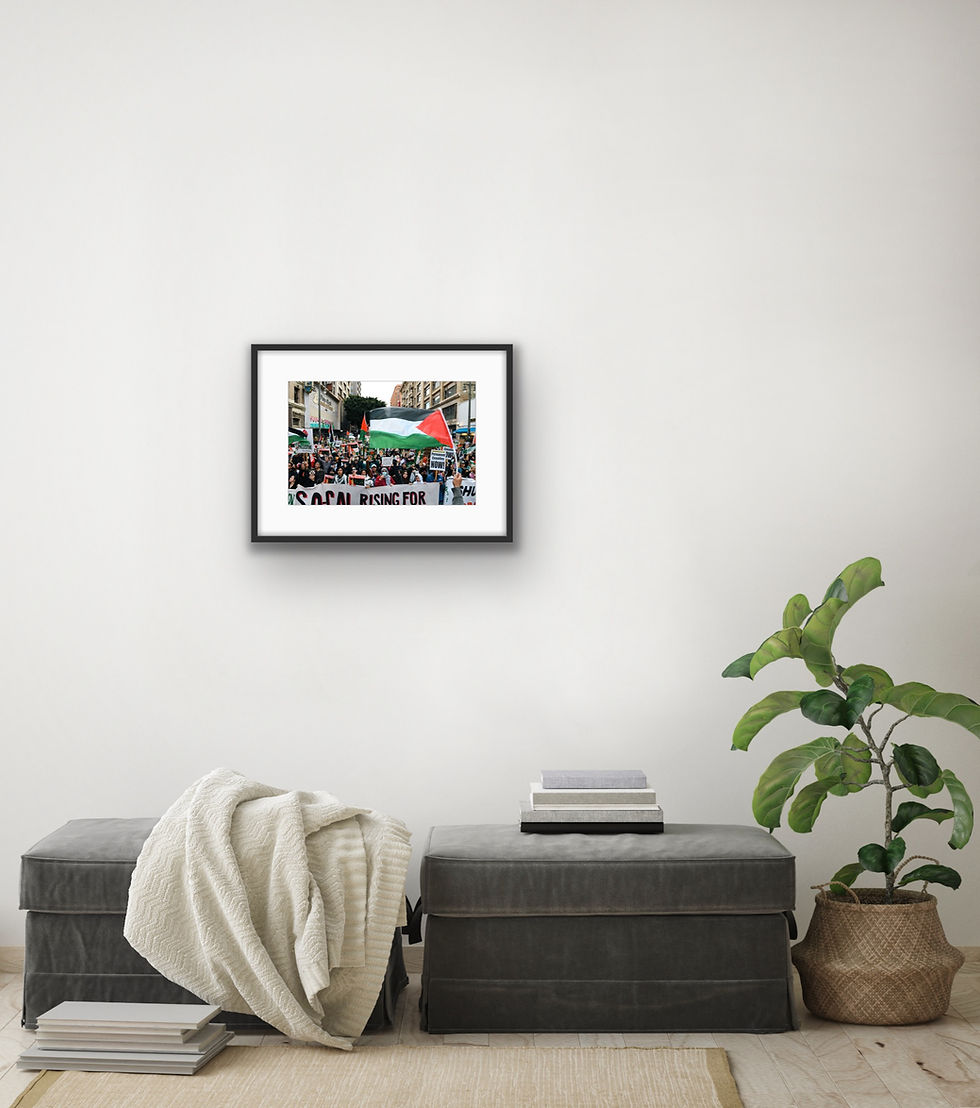 Thumbnail: FREE PALESTINE, SIZE 12X18