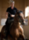 Art of Riding Intensiv-Weekend