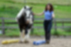Eschbach Horsemanship AG: Equikinetic® Muskelaufbautraining (1)