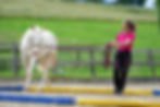 Eschbach Horsemanship AG: Dualaktivierung® Grundkurs (1)