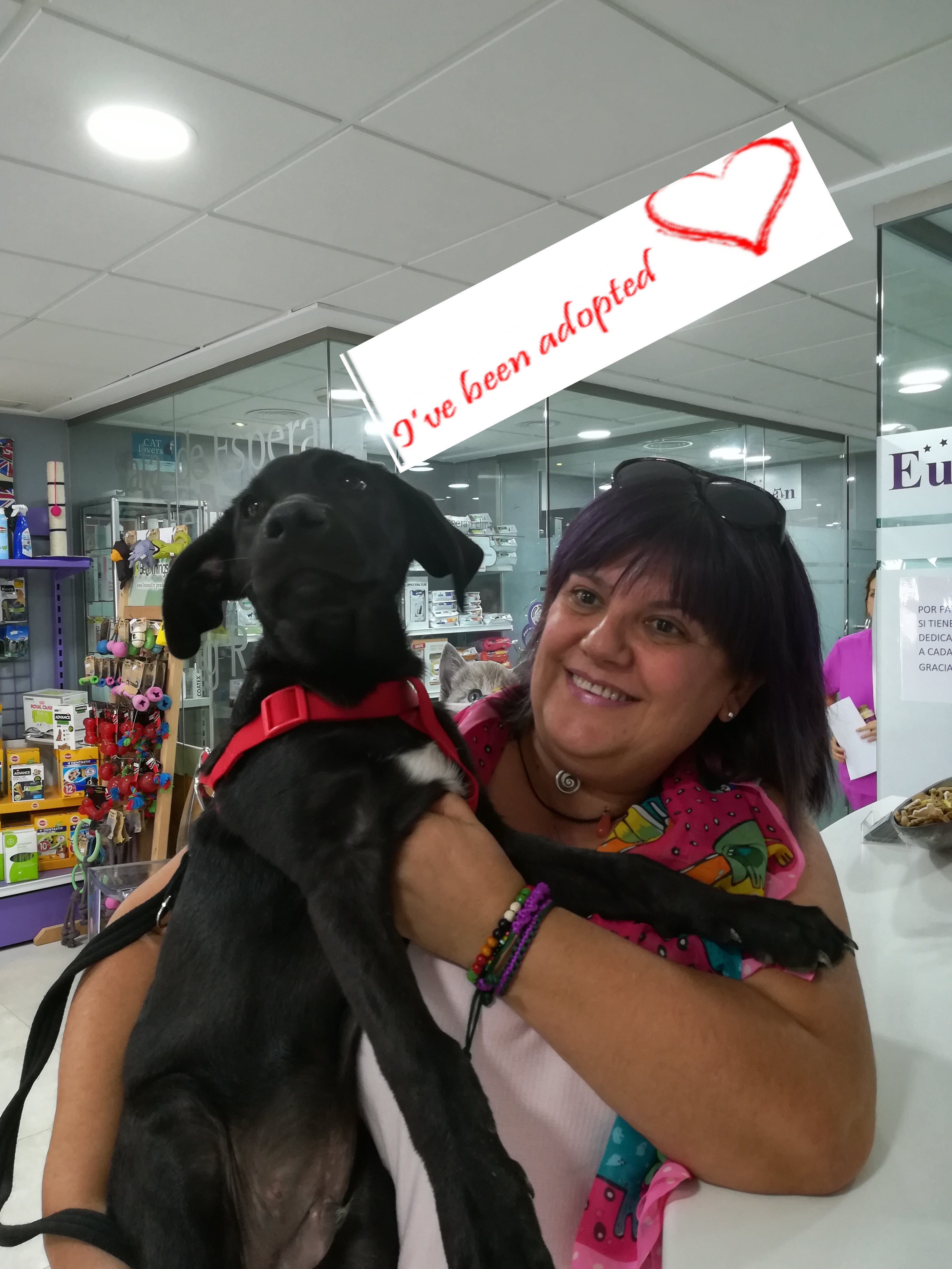 trueno-adopted