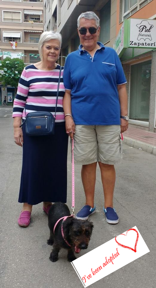 lola-been-adopted