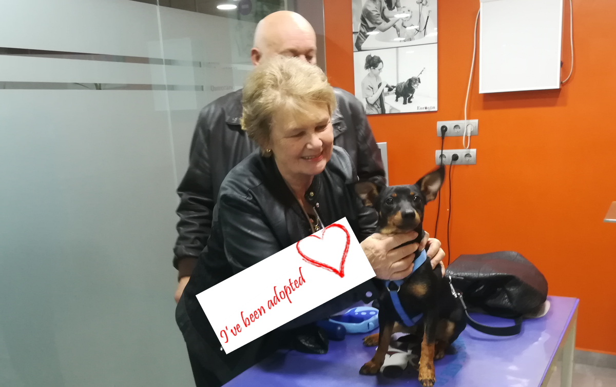 oscar adopted2