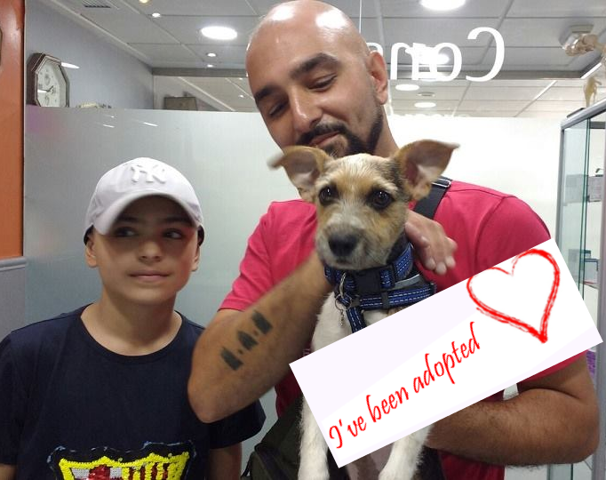 pepe-maziar-adopted