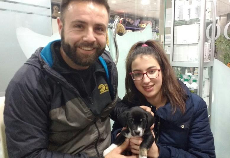 natita-adopted