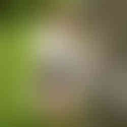 30A Senior Portraits in Sandestin FL