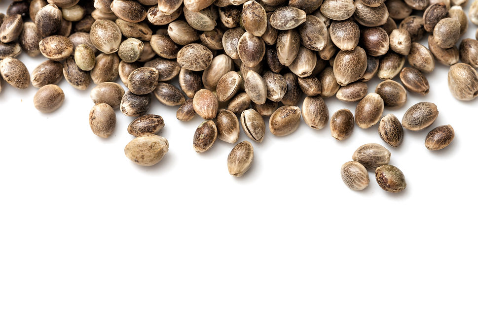 shutterstock_1009971094.jpg