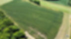 temp_image_for_default_share (1) (1).JPEG