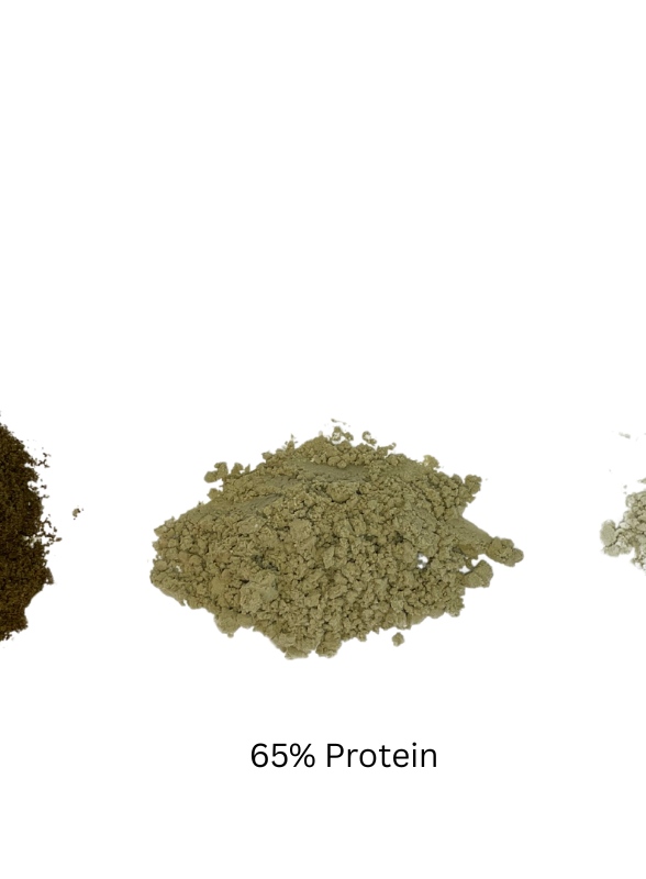 Midwest Hemp Technology Hemp Protein Grades (1080 x 800 px).png