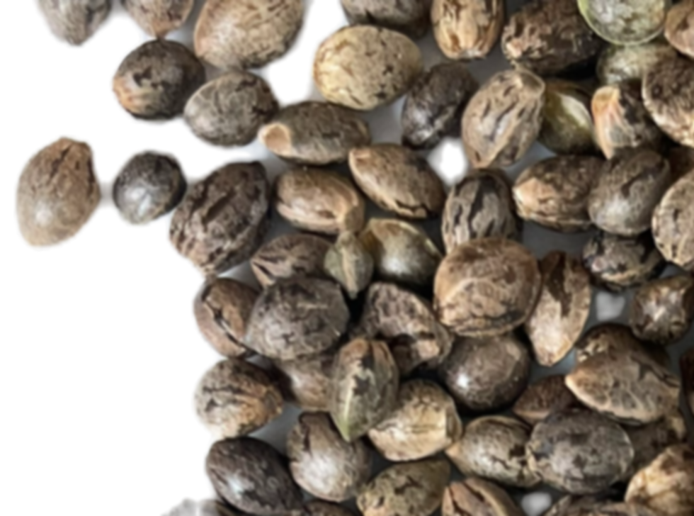external-file_edited.png