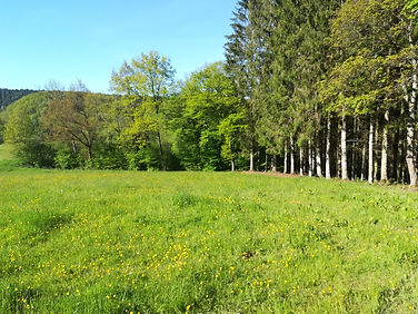 122103820_665549027410156_67989275214472