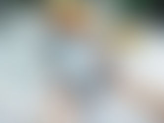 From Words to Wisdom: Harnessing the Power of eBook and Wikipedia Writing Services