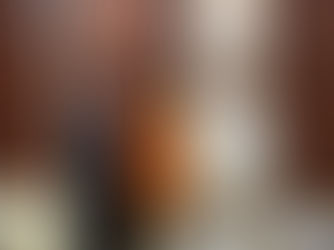 Meeting with Hon'ble Governor of Bihar