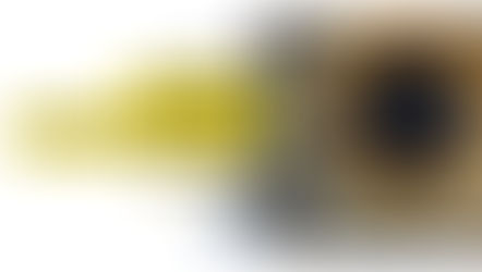 Staying human in the age of AI: The new human custodian challenge