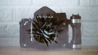 4 things your business & brands should be thinking about today