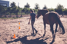 Paardencoaching - 5 of 59.jpeg