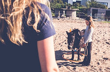 Paardencoaching - 52 of 59.jpeg