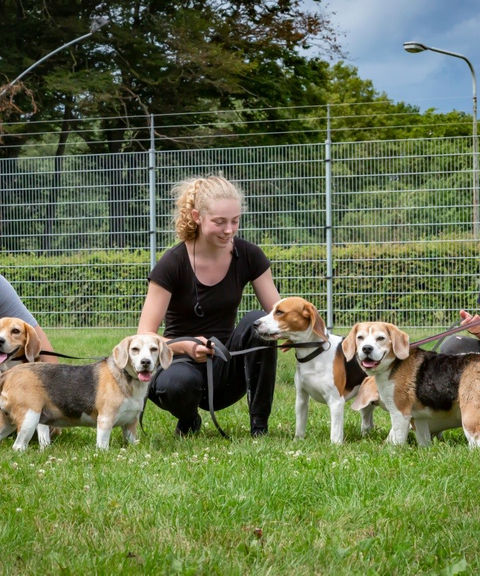 Dierencentrum Sevenum training 3.jpg