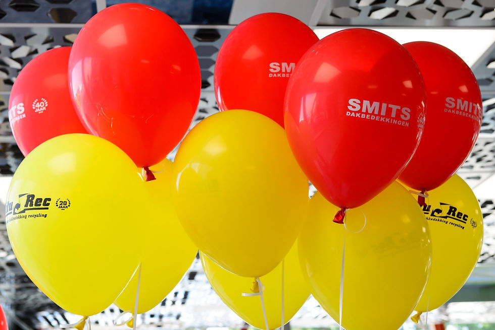 BituRec open dag ballonnen