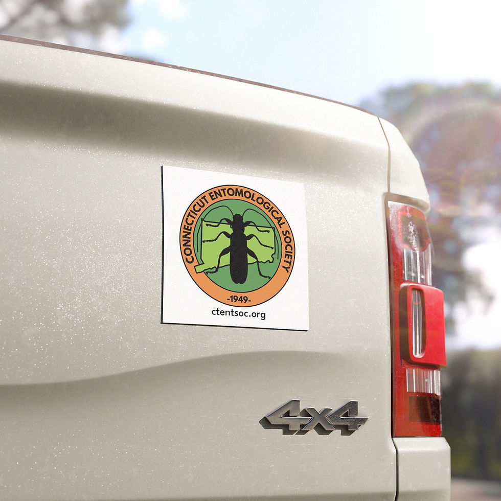 Thumbnail: CES - Car Magnets