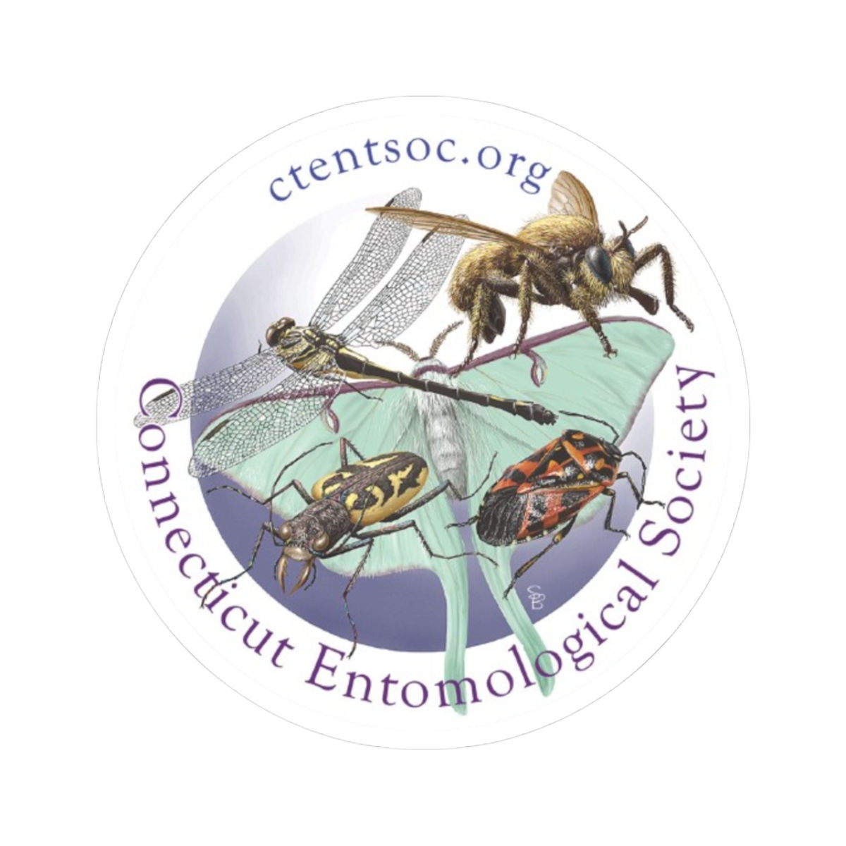 CES Stickers - Steve Buchanan design