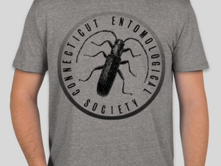 Another t-shirt poll