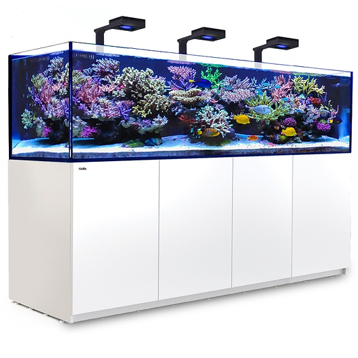 レッドシー　リーファー S-1000 Red Sea Reefer S-1000 White | My Site