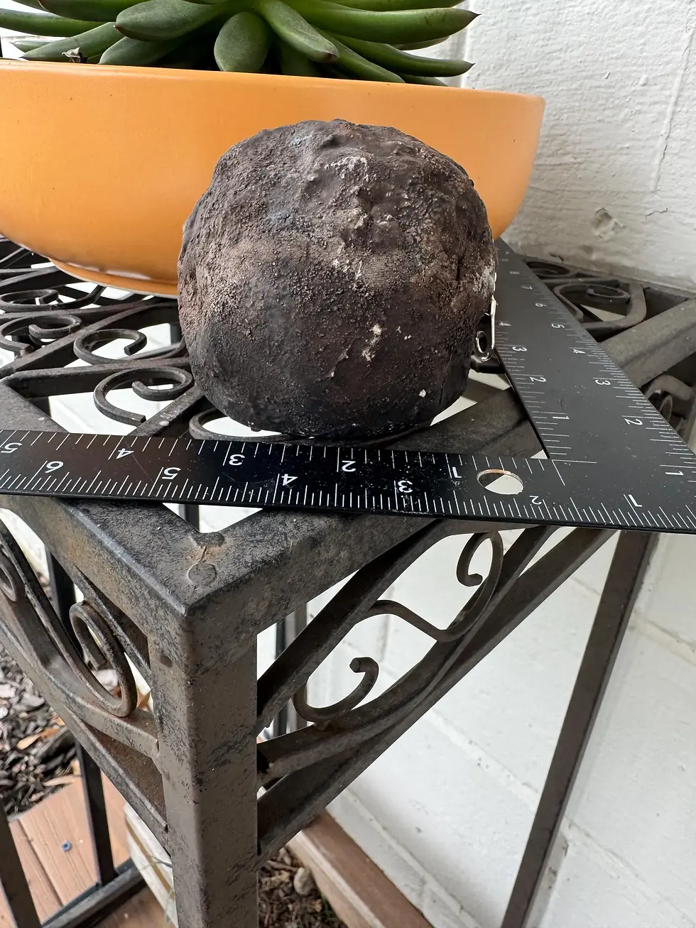 Thumbnail: Concrete Peeper Eye Rock Glow In The Dark