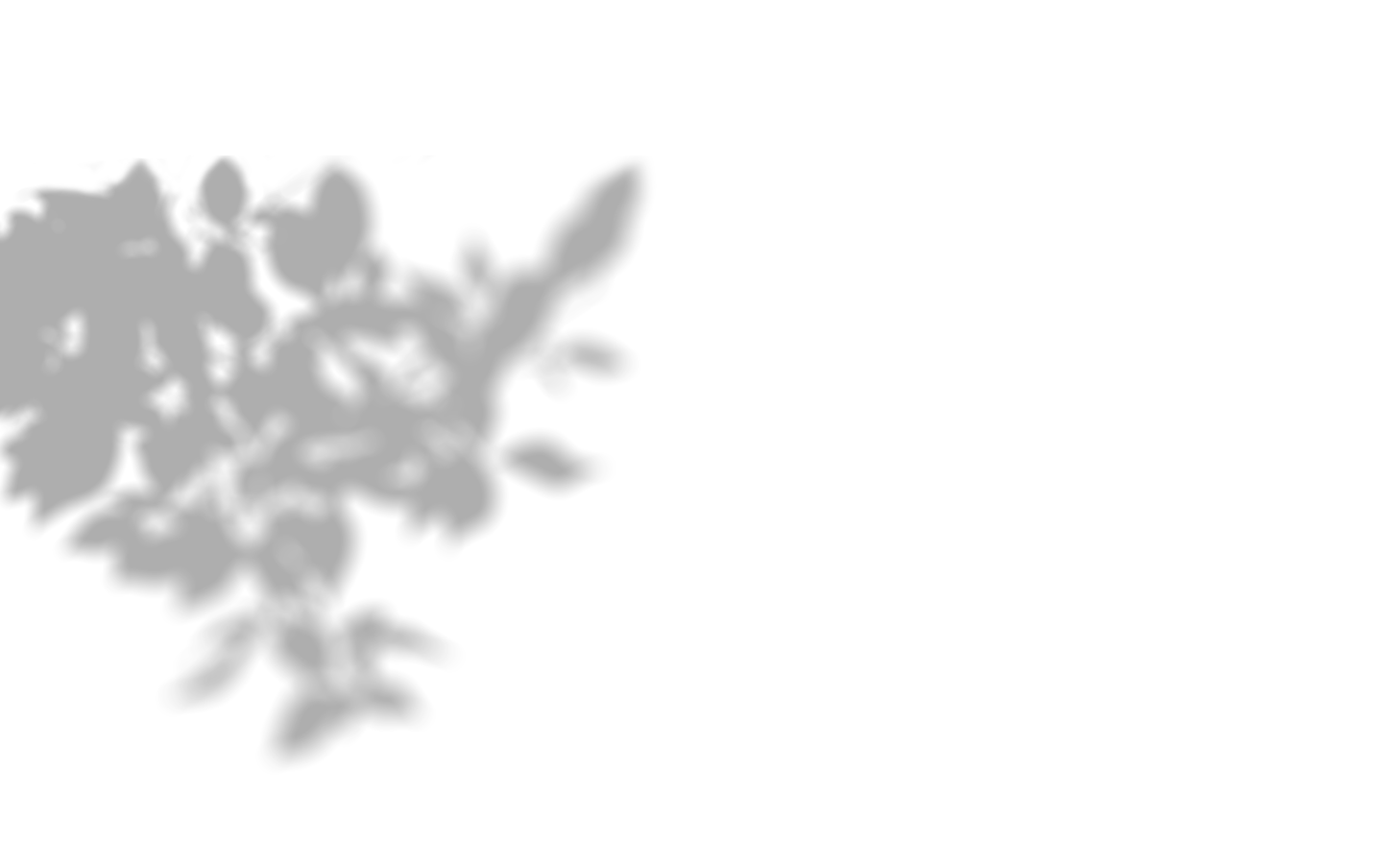 Shadow-8.png