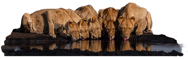 DSC09137-ezgif.com-png-to-webp-converter.webp