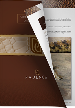 Padenga Holdings Limited Annual Report visual for 2011