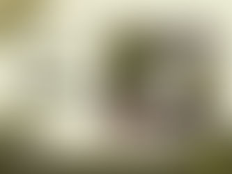Doug's Vlog Cover Image