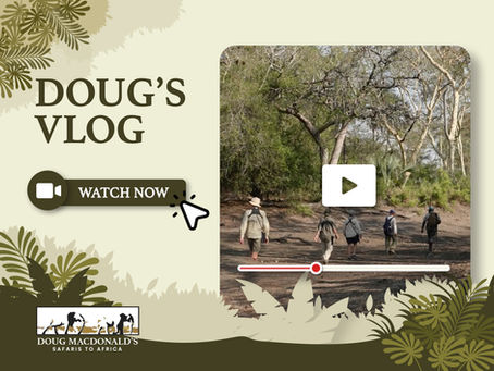 Doug's Vlog Cover Image