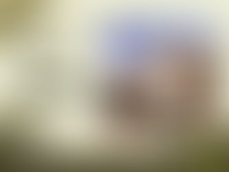 The Palm River - Victoria Falls - Zimbabwe