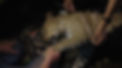 image-export-2-OP.jpg