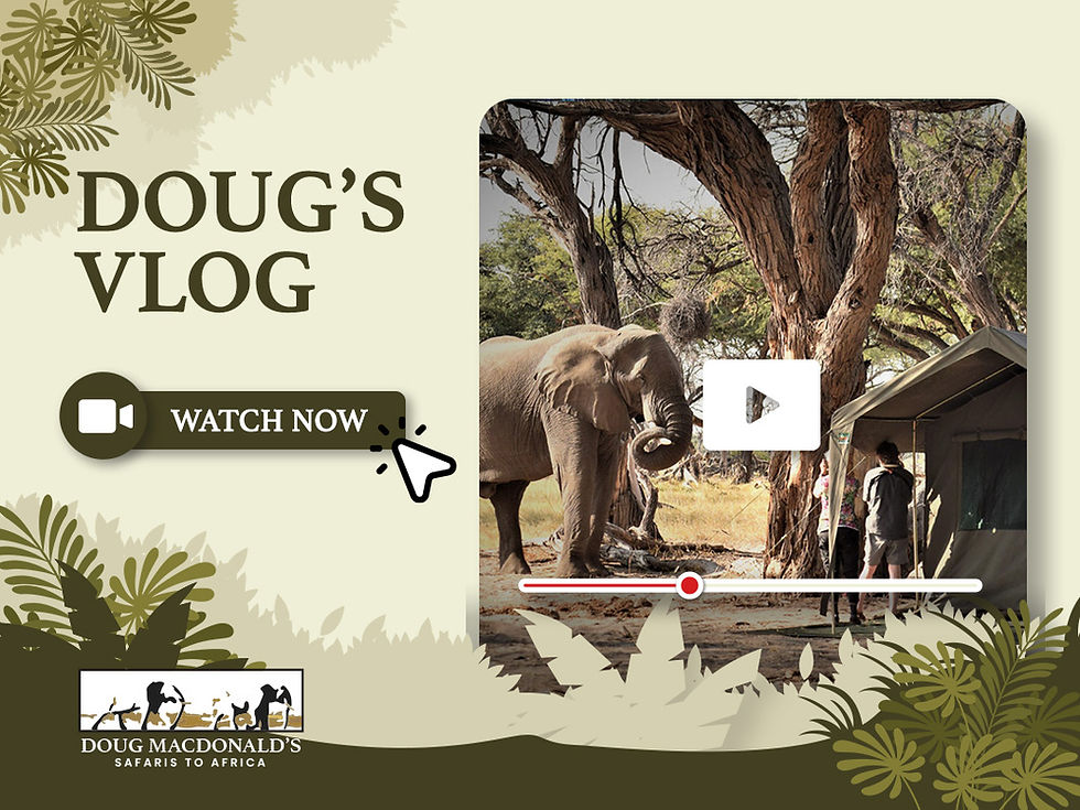 Doug's Vlog Cover Image
